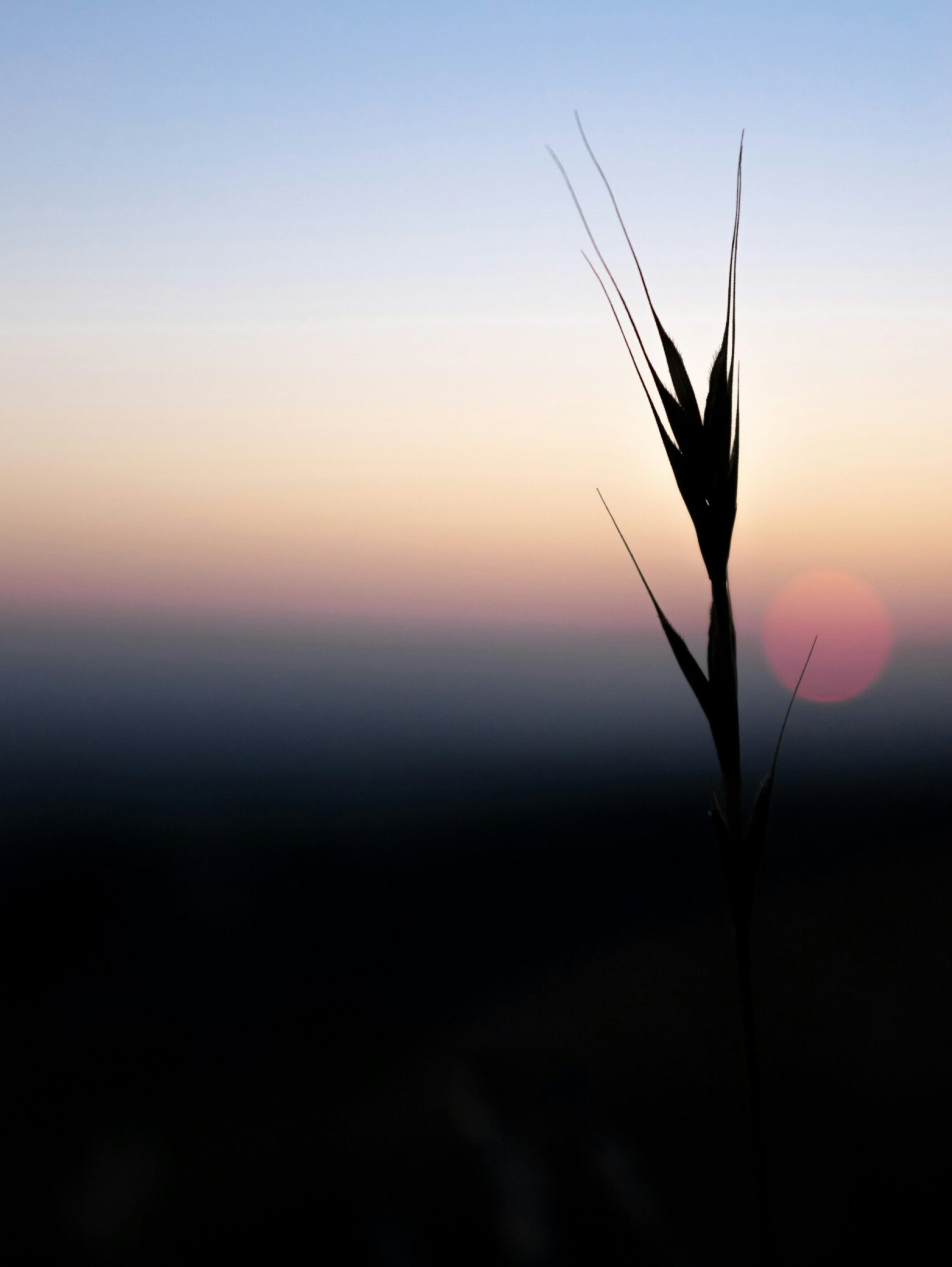 gina-mangiante-6aRe8Er09k0-unsplash