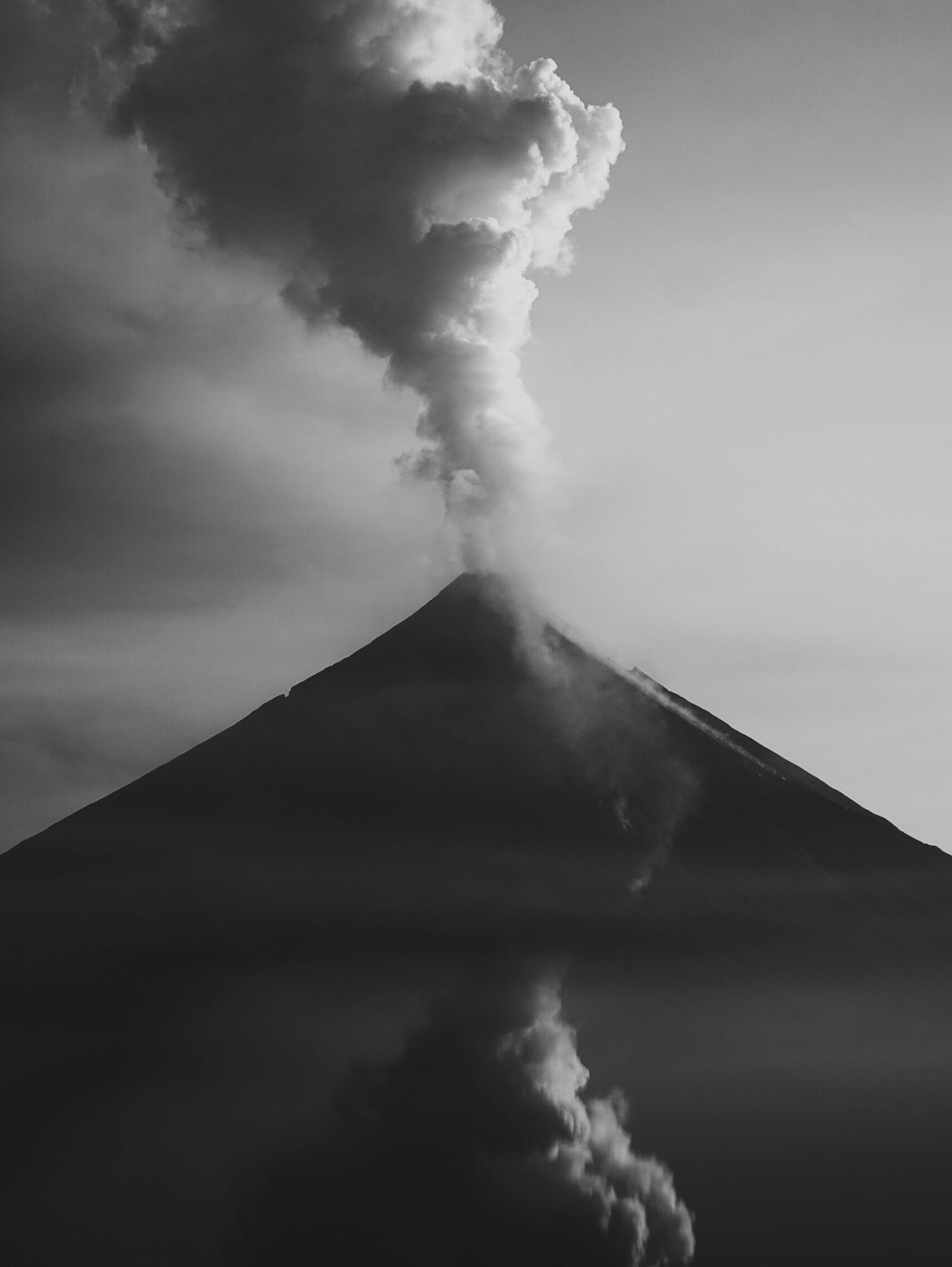 pexels-alexisricardoalaurin-22614577